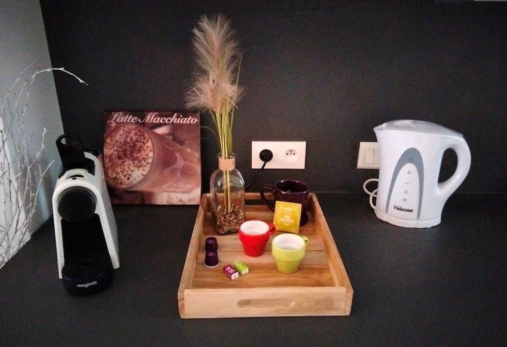 Le Cocon Zen Apartment Voiron Ngoại thất bức ảnh