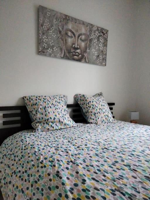 Le Cocon Zen Apartment Voiron Ngoại thất bức ảnh
